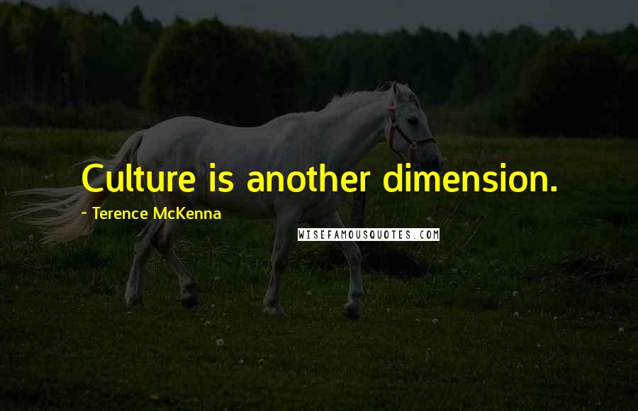 Terence McKenna Quotes: Culture is another dimension.
