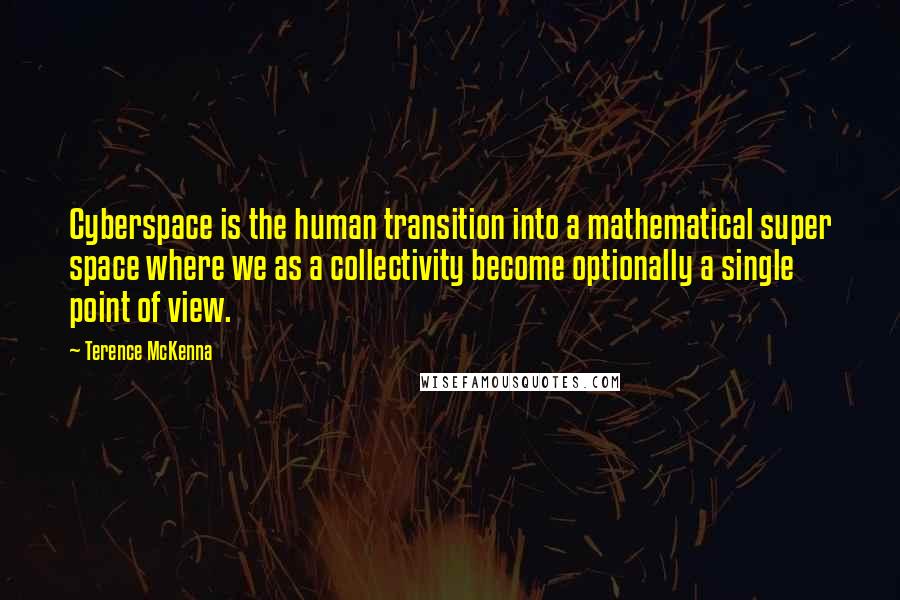 Terence McKenna Quotes: Cyberspace is the human transition into a mathematical super space where we as a collectivity become optionally a single point of view.