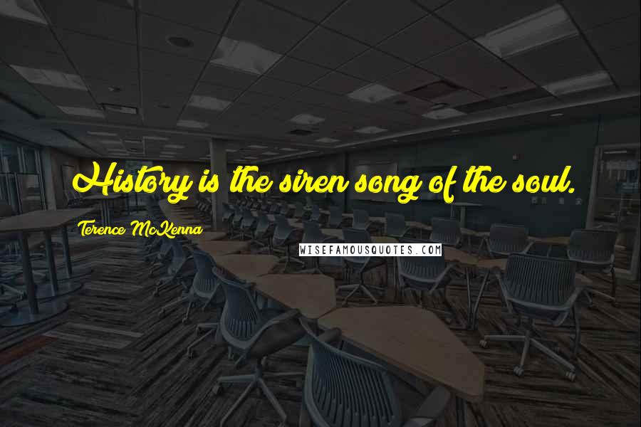 Terence McKenna Quotes: History is the siren song of the soul.