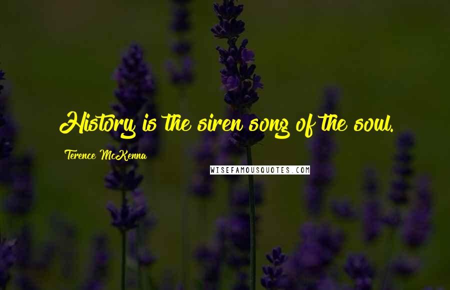 Terence McKenna Quotes: History is the siren song of the soul.