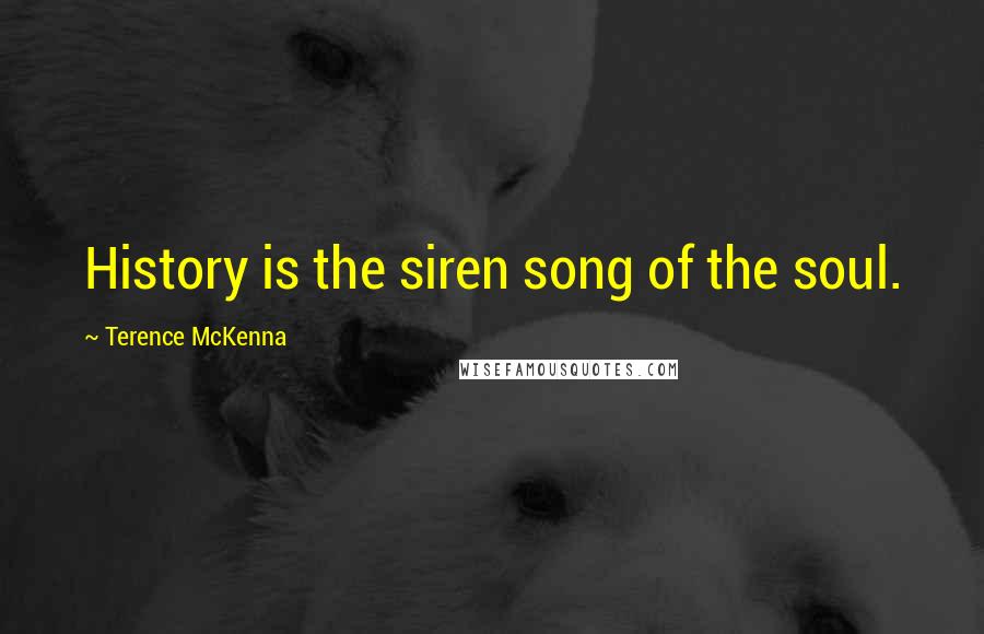Terence McKenna Quotes: History is the siren song of the soul.