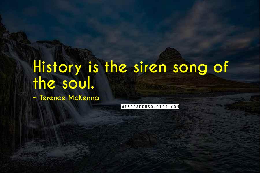 Terence McKenna Quotes: History is the siren song of the soul.