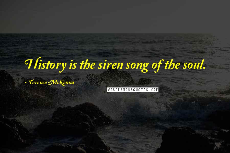 Terence McKenna Quotes: History is the siren song of the soul.