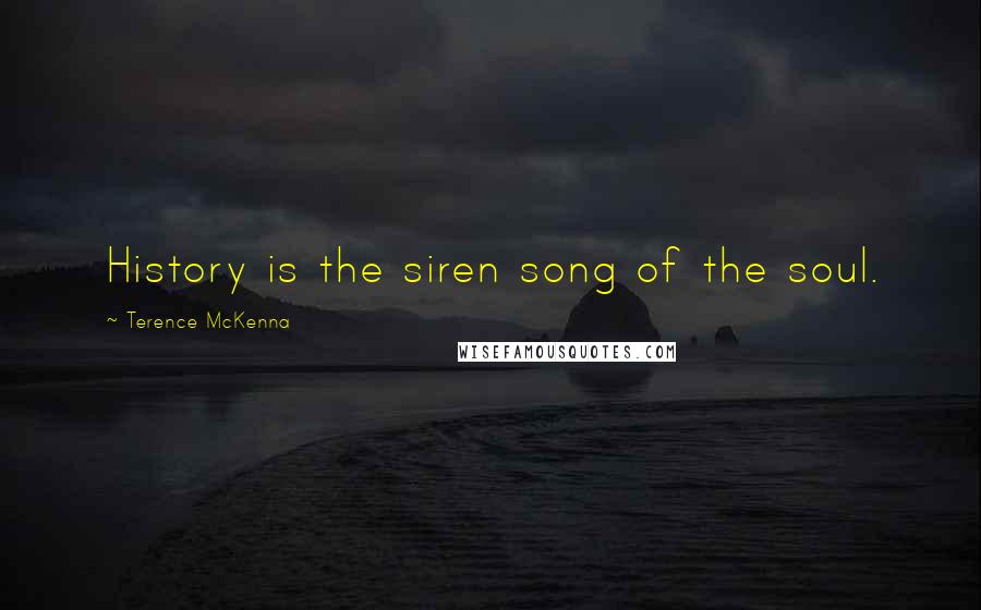 Terence McKenna Quotes: History is the siren song of the soul.