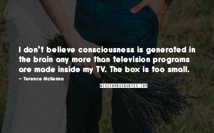 Terence McKenna Quotes: I don't believe consciousness is generated in the brain any more than television programs are made inside my TV. The box is too small.