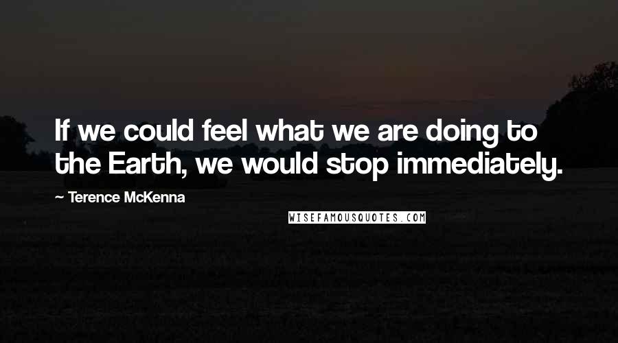 Terence McKenna Quotes: If we could feel what we are doing to the Earth, we would stop immediately.