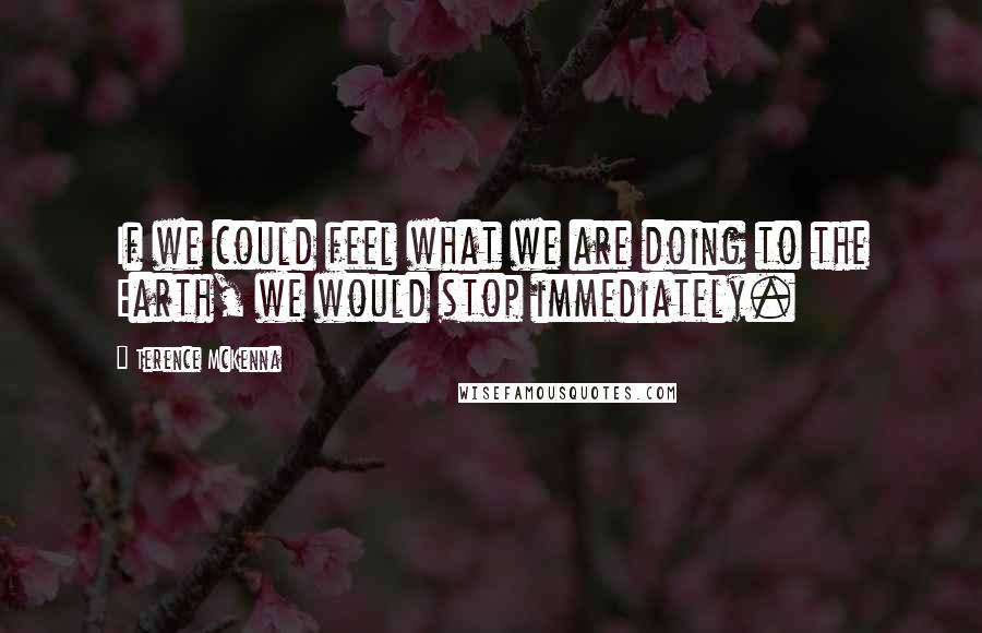 Terence McKenna Quotes: If we could feel what we are doing to the Earth, we would stop immediately.