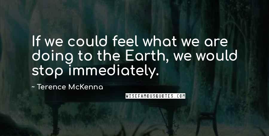 Terence McKenna Quotes: If we could feel what we are doing to the Earth, we would stop immediately.