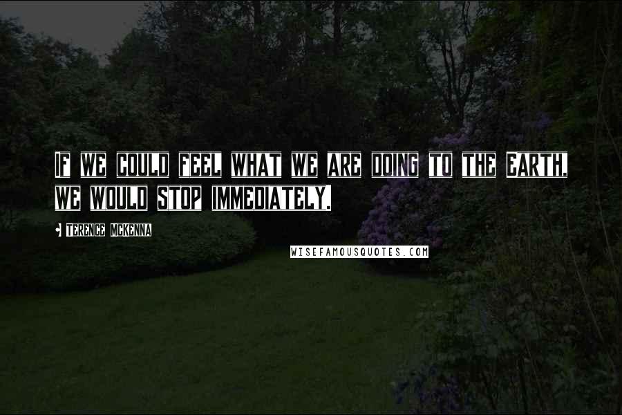 Terence McKenna Quotes: If we could feel what we are doing to the Earth, we would stop immediately.