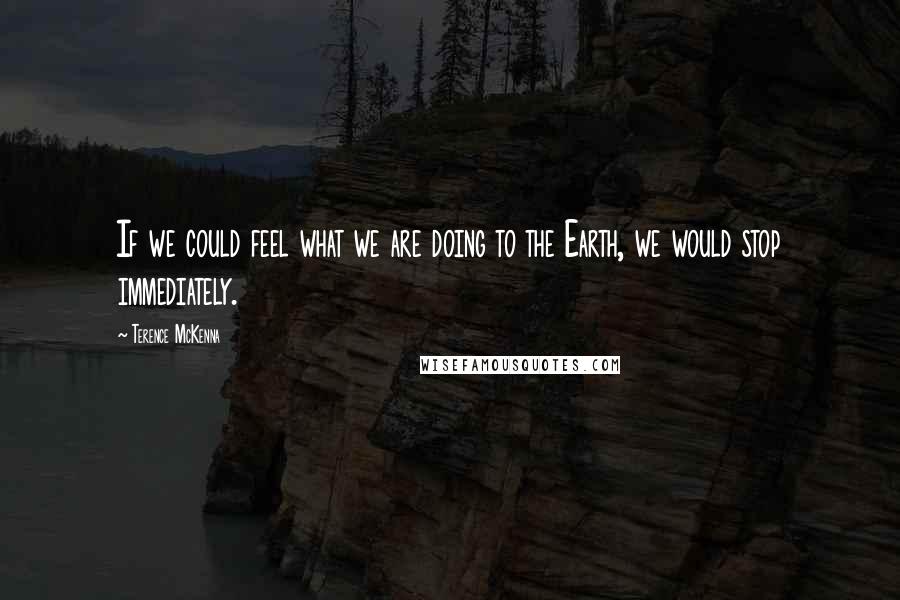 Terence McKenna Quotes: If we could feel what we are doing to the Earth, we would stop immediately.