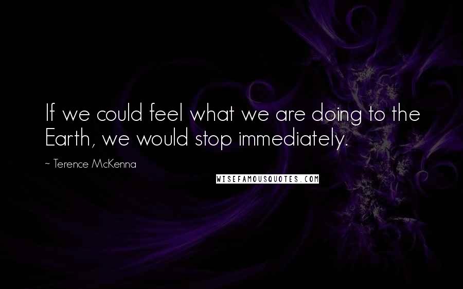Terence McKenna Quotes: If we could feel what we are doing to the Earth, we would stop immediately.