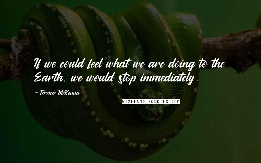 Terence McKenna Quotes: If we could feel what we are doing to the Earth, we would stop immediately.