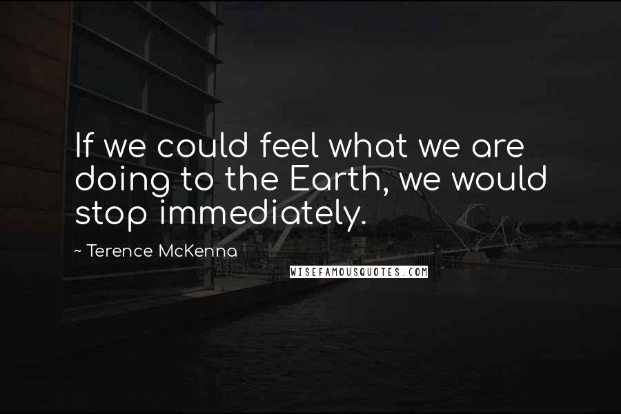 Terence McKenna Quotes: If we could feel what we are doing to the Earth, we would stop immediately.