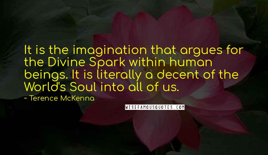 Terence McKenna Quotes: It is the imagination that argues for the Divine Spark within human beings. It is literally a decent of the World's Soul into all of us.