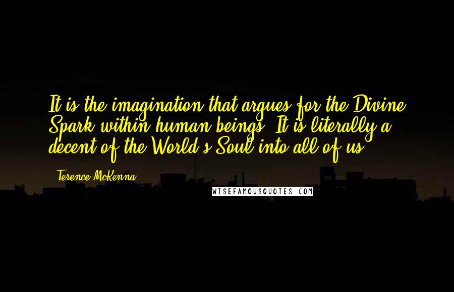 Terence McKenna Quotes: It is the imagination that argues for the Divine Spark within human beings. It is literally a decent of the World's Soul into all of us.