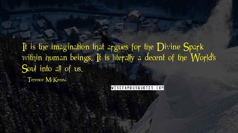 Terence McKenna Quotes: It is the imagination that argues for the Divine Spark within human beings. It is literally a decent of the World's Soul into all of us.