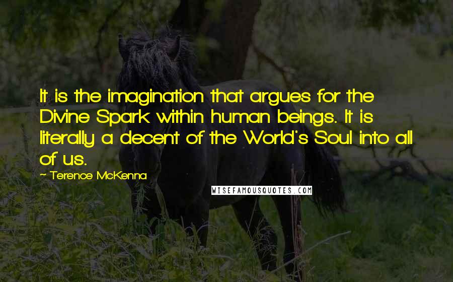 Terence McKenna Quotes: It is the imagination that argues for the Divine Spark within human beings. It is literally a decent of the World's Soul into all of us.