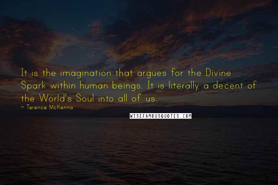 Terence McKenna Quotes: It is the imagination that argues for the Divine Spark within human beings. It is literally a decent of the World's Soul into all of us.