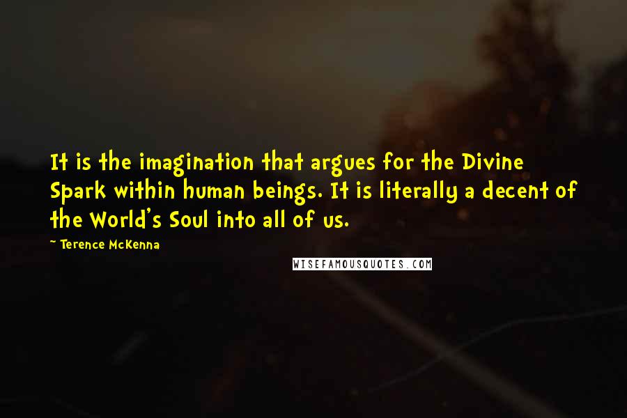 Terence McKenna Quotes: It is the imagination that argues for the Divine Spark within human beings. It is literally a decent of the World's Soul into all of us.