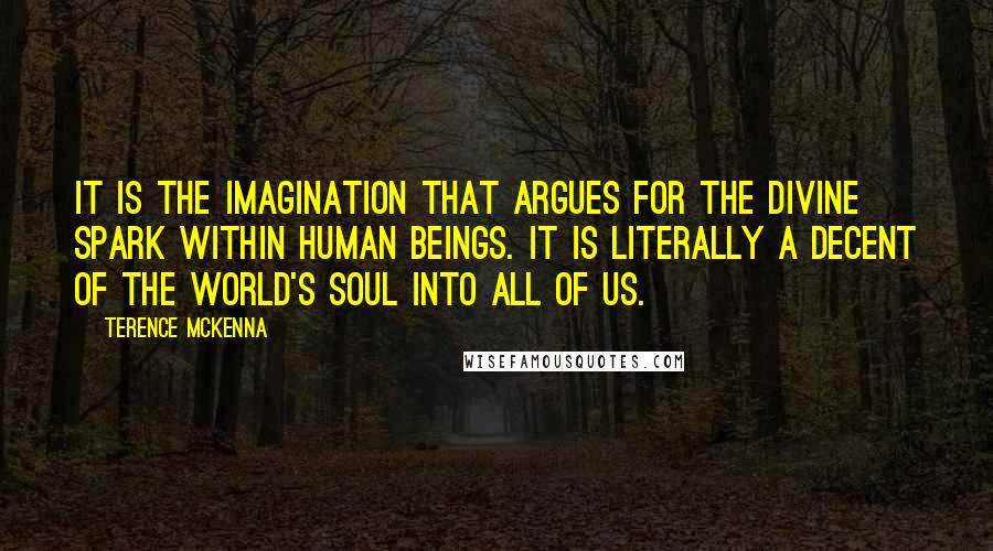 Terence McKenna Quotes: It is the imagination that argues for the Divine Spark within human beings. It is literally a decent of the World's Soul into all of us.