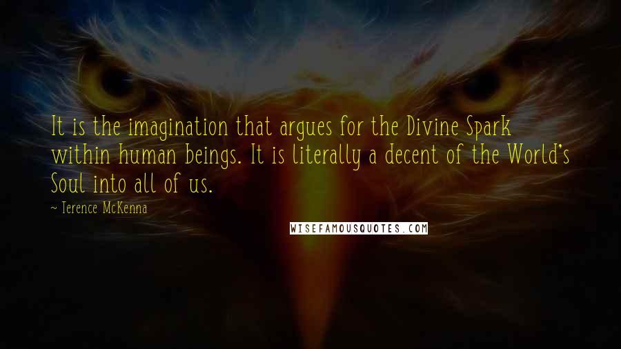 Terence McKenna Quotes: It is the imagination that argues for the Divine Spark within human beings. It is literally a decent of the World's Soul into all of us.