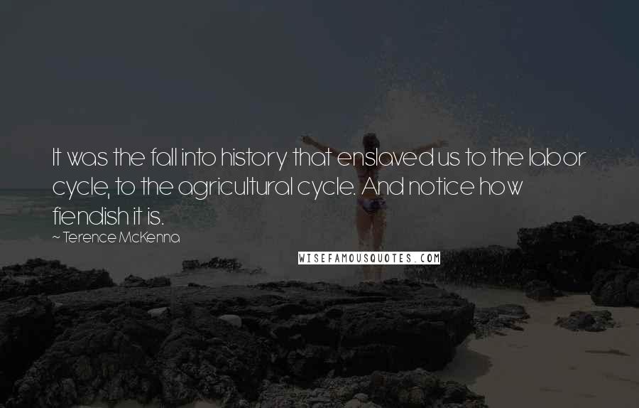 Terence McKenna Quotes: It was the fall into history that enslaved us to the labor cycle, to the agricultural cycle. And notice how fiendish it is.