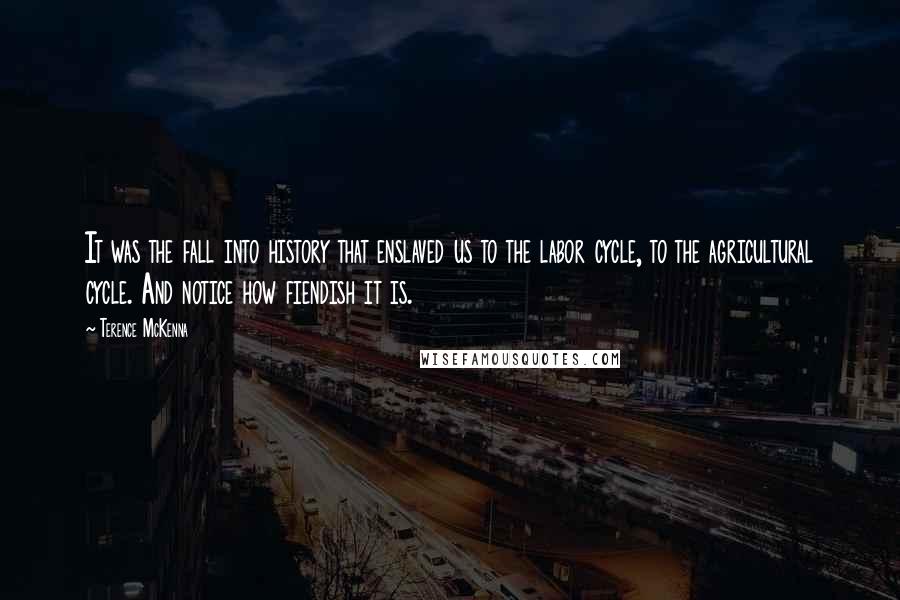 Terence McKenna Quotes: It was the fall into history that enslaved us to the labor cycle, to the agricultural cycle. And notice how fiendish it is.