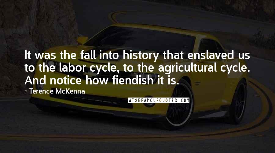 Terence McKenna Quotes: It was the fall into history that enslaved us to the labor cycle, to the agricultural cycle. And notice how fiendish it is.
