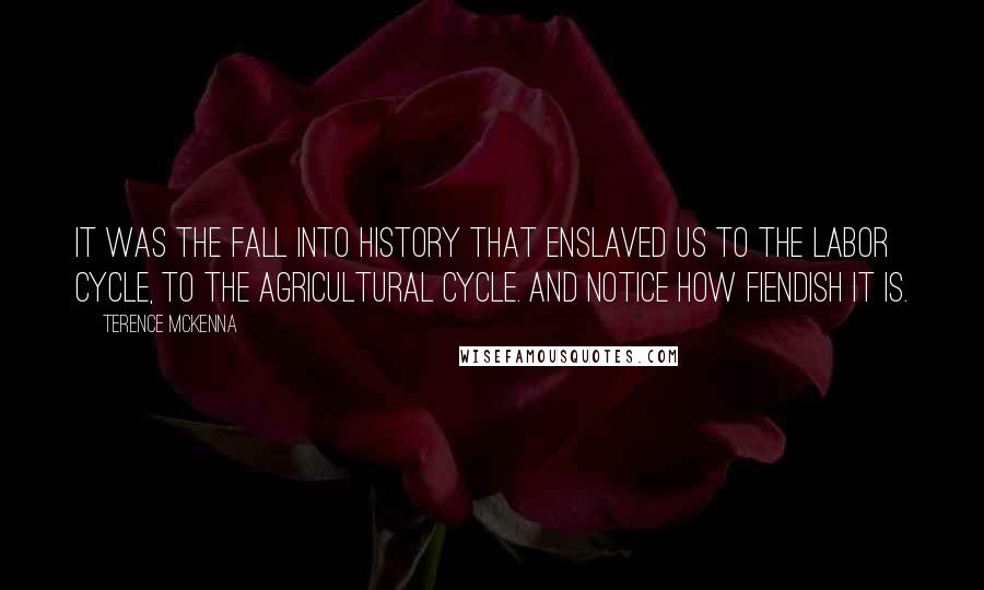 Terence McKenna Quotes: It was the fall into history that enslaved us to the labor cycle, to the agricultural cycle. And notice how fiendish it is.