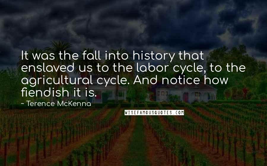 Terence McKenna Quotes: It was the fall into history that enslaved us to the labor cycle, to the agricultural cycle. And notice how fiendish it is.