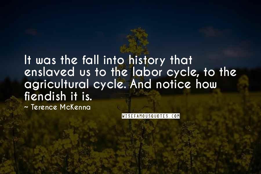 Terence McKenna Quotes: It was the fall into history that enslaved us to the labor cycle, to the agricultural cycle. And notice how fiendish it is.