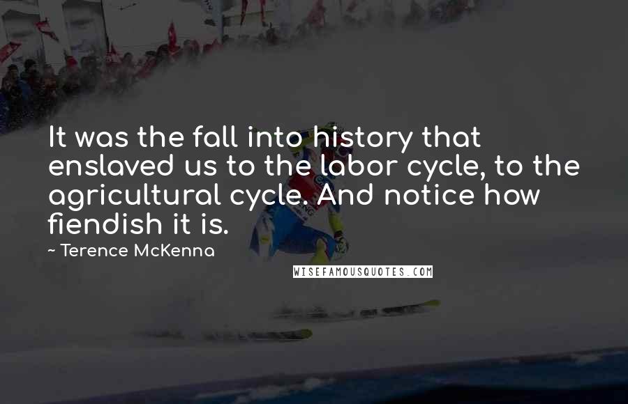 Terence McKenna Quotes: It was the fall into history that enslaved us to the labor cycle, to the agricultural cycle. And notice how fiendish it is.