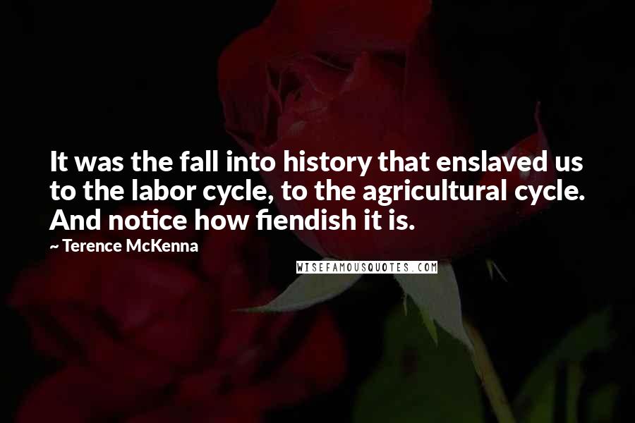 Terence McKenna Quotes: It was the fall into history that enslaved us to the labor cycle, to the agricultural cycle. And notice how fiendish it is.