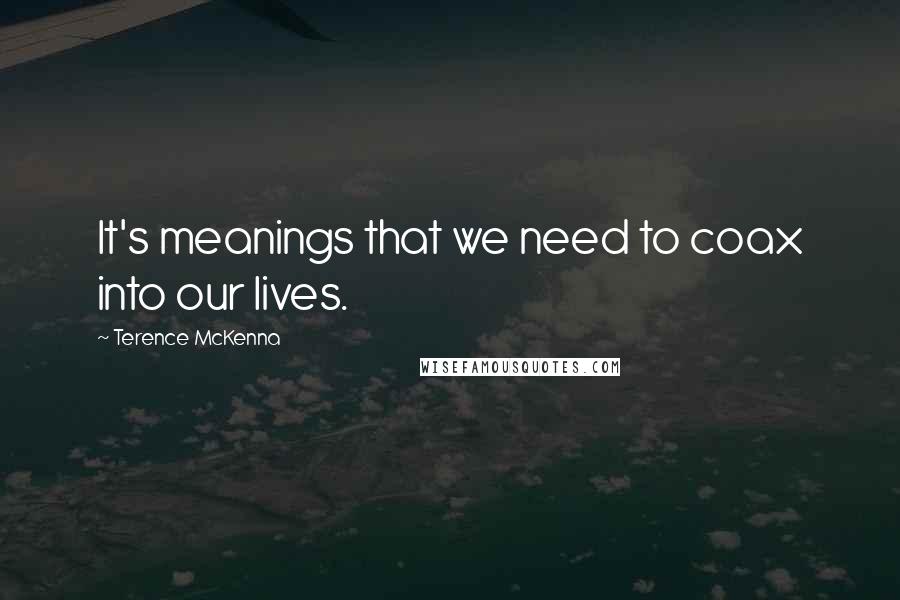 Terence McKenna Quotes: It's meanings that we need to coax into our lives.