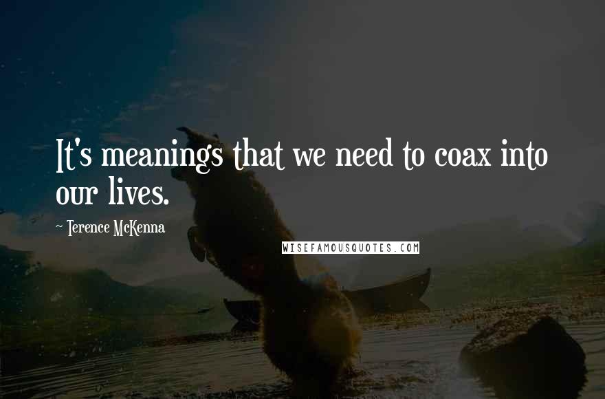 Terence McKenna Quotes: It's meanings that we need to coax into our lives.