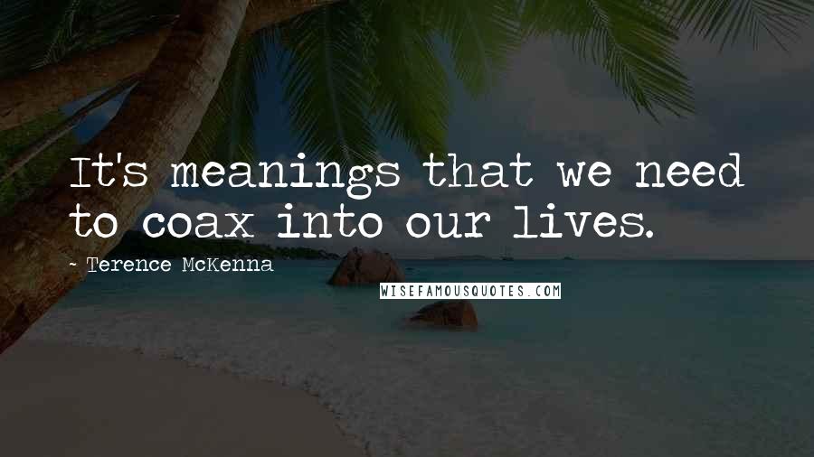 Terence McKenna Quotes: It's meanings that we need to coax into our lives.