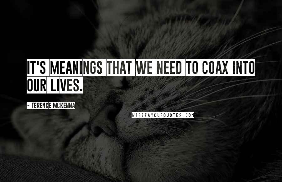 Terence McKenna Quotes: It's meanings that we need to coax into our lives.