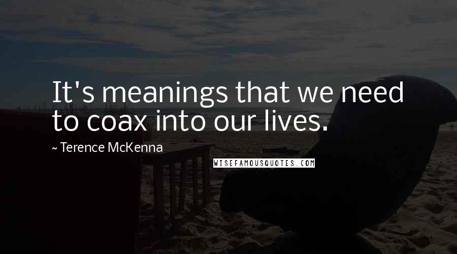 Terence McKenna Quotes: It's meanings that we need to coax into our lives.