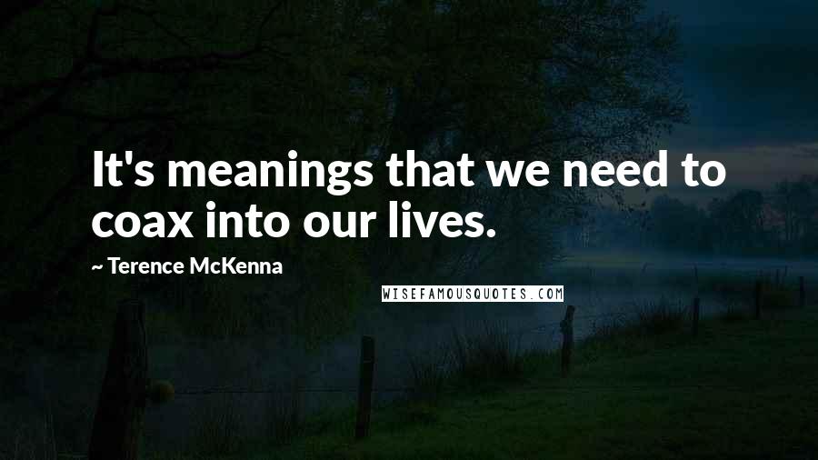 Terence McKenna Quotes: It's meanings that we need to coax into our lives.