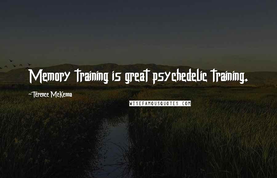 Terence McKenna Quotes: Memory training is great psychedelic training.