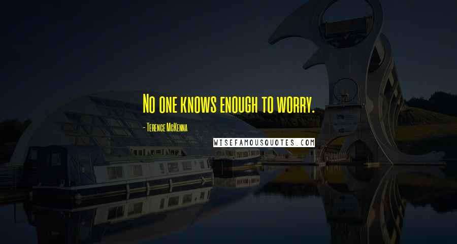 Terence McKenna Quotes: No one knows enough to worry.