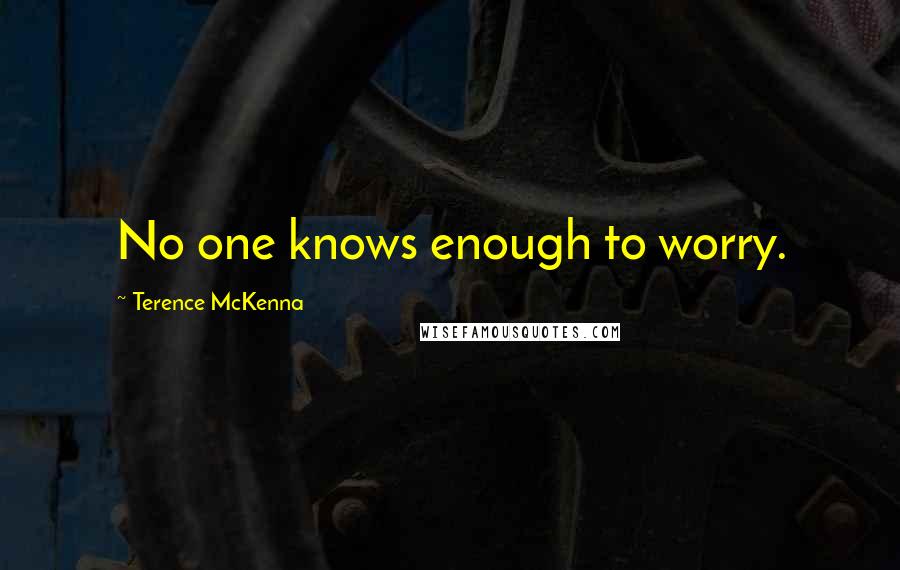 Terence McKenna Quotes: No one knows enough to worry.