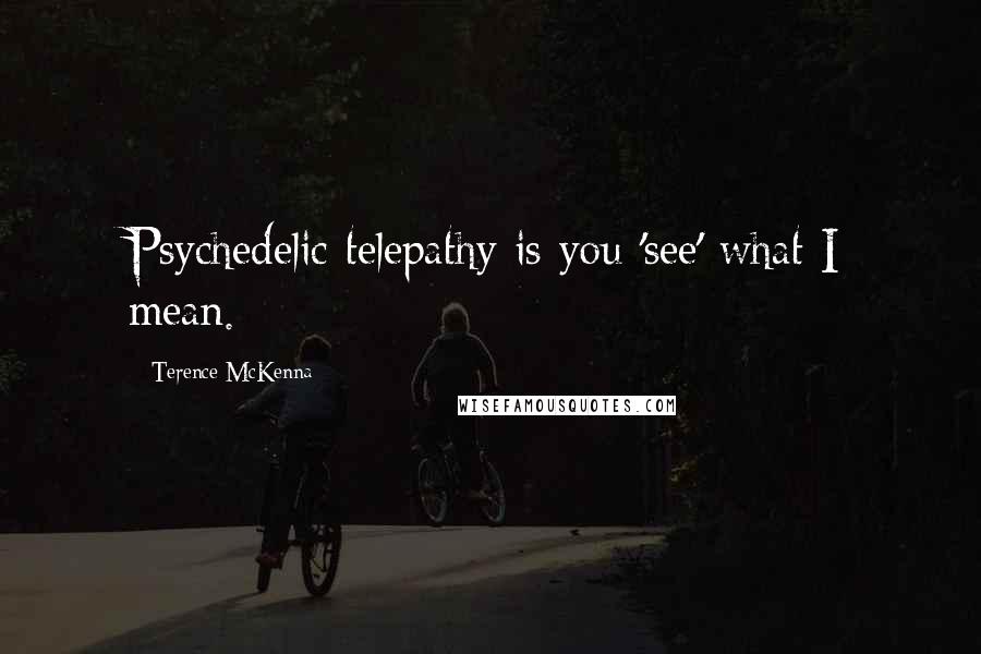 Terence McKenna Quotes: Psychedelic telepathy is you 'see' what I mean.