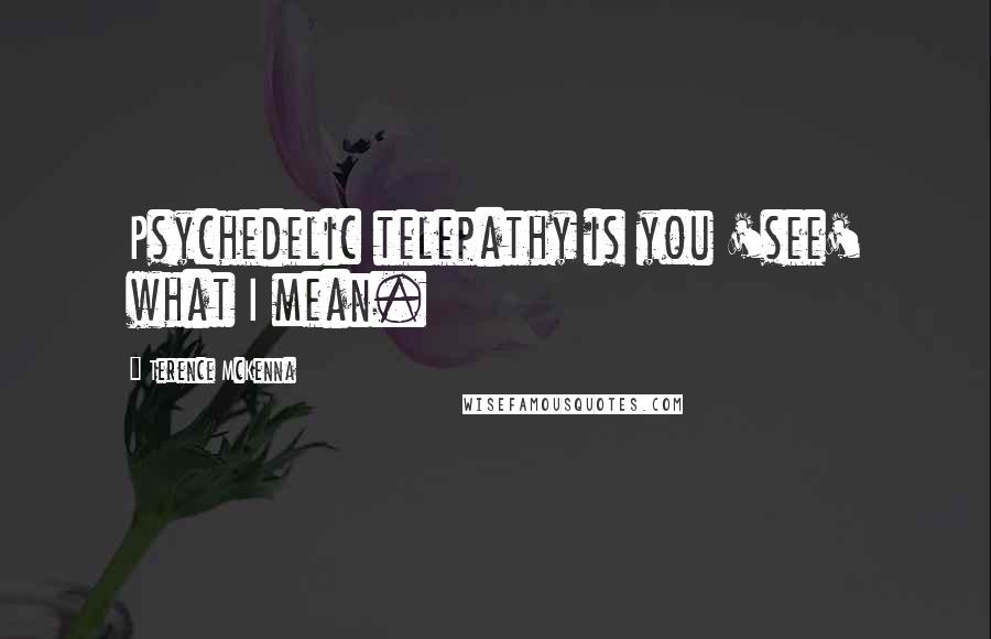 Terence McKenna Quotes: Psychedelic telepathy is you 'see' what I mean.