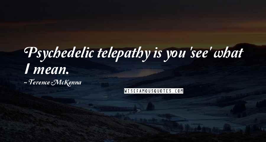 Terence McKenna Quotes: Psychedelic telepathy is you 'see' what I mean.