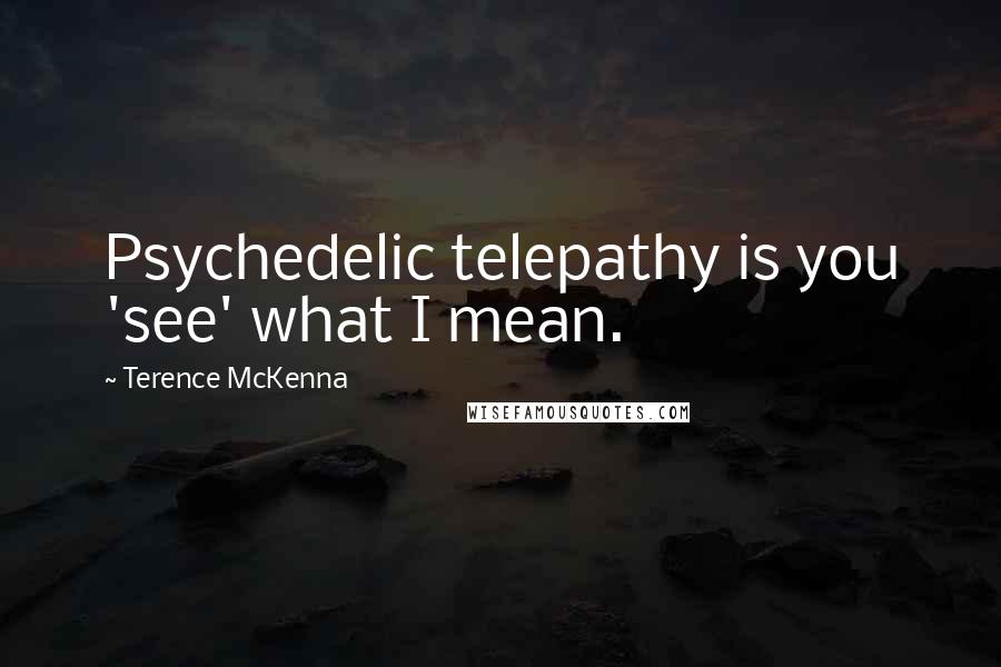 Terence McKenna Quotes: Psychedelic telepathy is you 'see' what I mean.