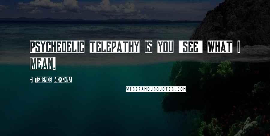 Terence McKenna Quotes: Psychedelic telepathy is you 'see' what I mean.