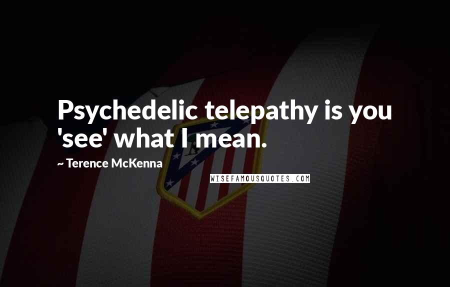 Terence McKenna Quotes: Psychedelic telepathy is you 'see' what I mean.