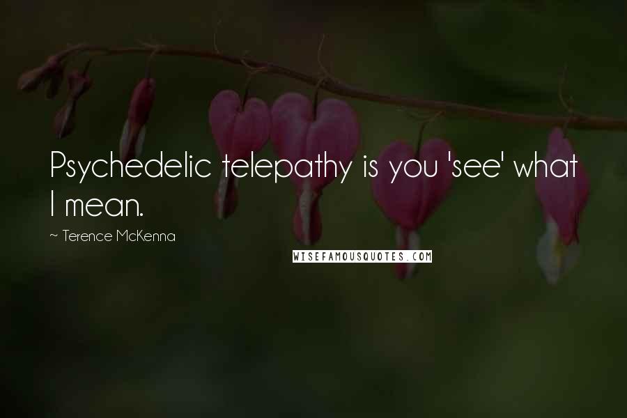 Terence McKenna Quotes: Psychedelic telepathy is you 'see' what I mean.