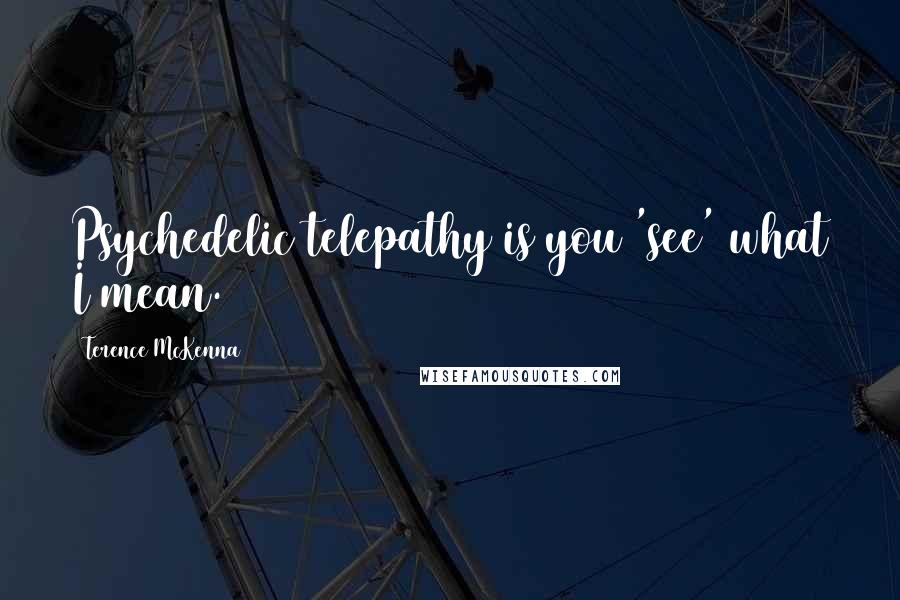 Terence McKenna Quotes: Psychedelic telepathy is you 'see' what I mean.